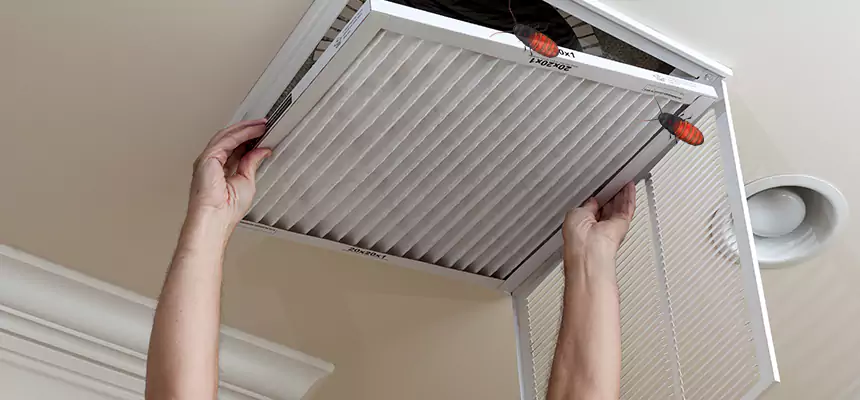 Our Insect Removal from Air Ducts Services in Meriden, CT
