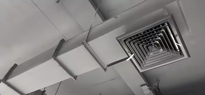 Our Rodent Droppings In Vents Services in Meriden, CT