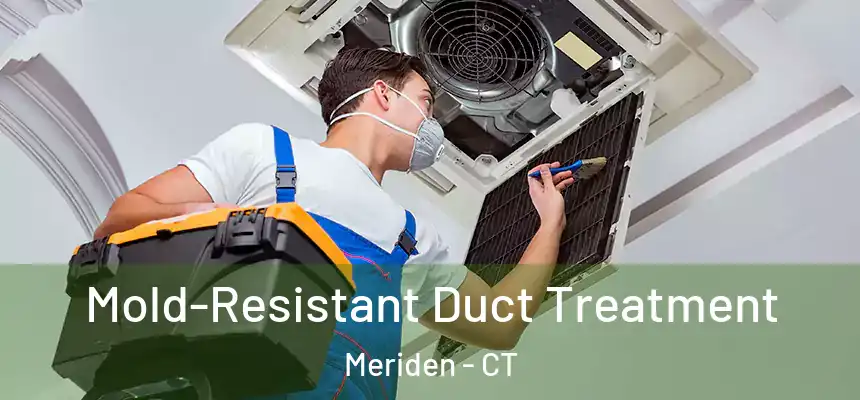  Mold-Resistant Duct Treatment Meriden - CT