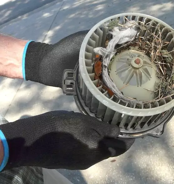 About Air Duct Rat Removal in Meriden, CT