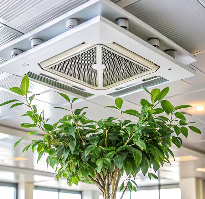 Why Homeowners & Businesses Trust Us in Meriden, CT?